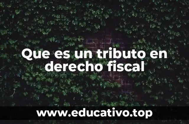 El papel del tributo en la organización del Estado