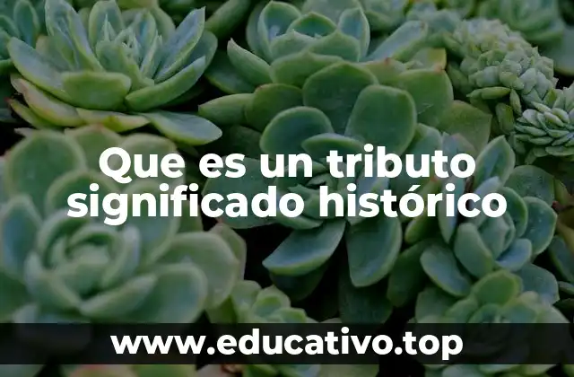 Que es un tributo significado histórico