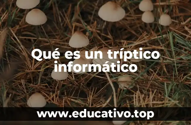 Qué es un tríptico informático