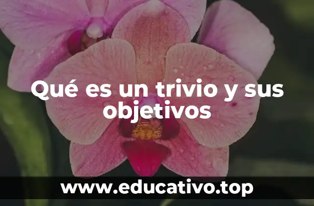 Qué es un trivio y sus objetivos