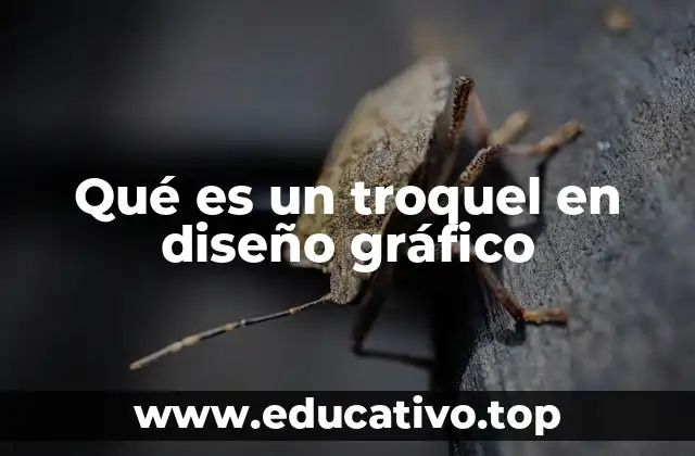 Qué es un troquel en diseño gráfico