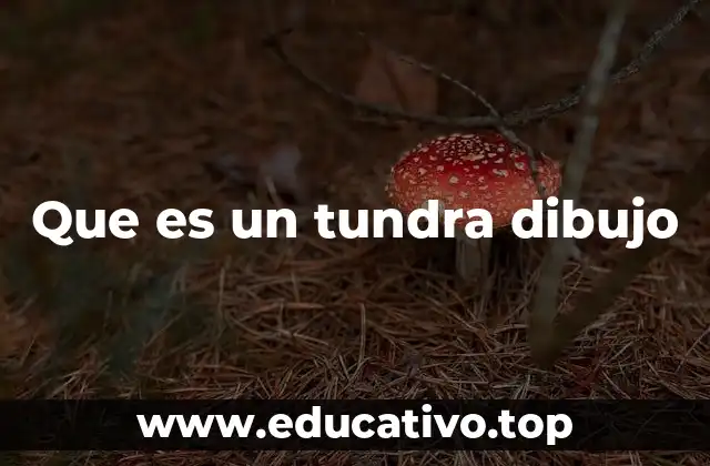 Que es un tundra dibujo