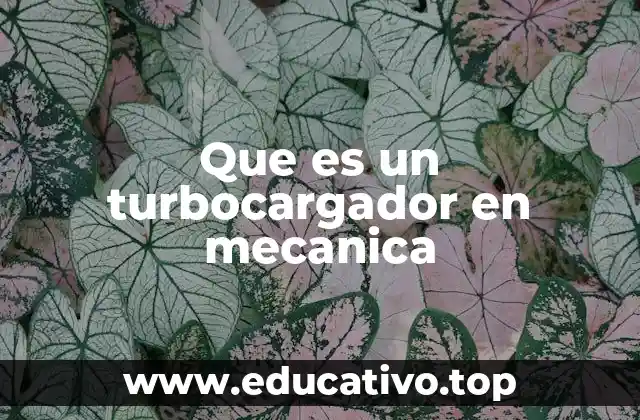 Que es un turbocargador en mecanica