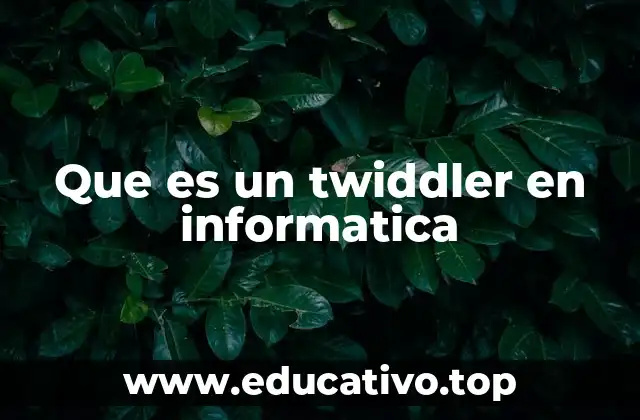 Que es un twiddler en informatica