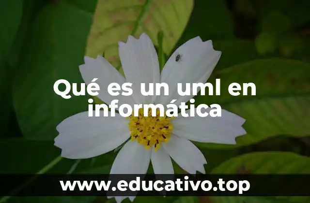 Qué es un uml en informática