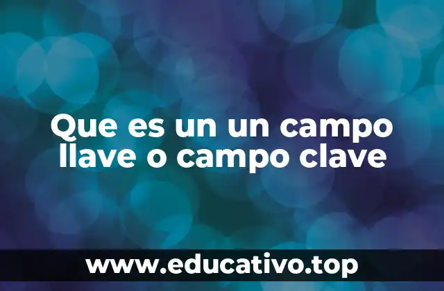 Que es un un campo llave o campo clave