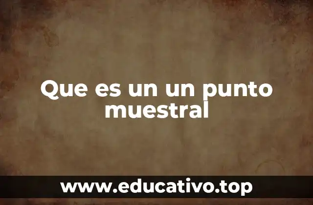 Que es un un punto muestral