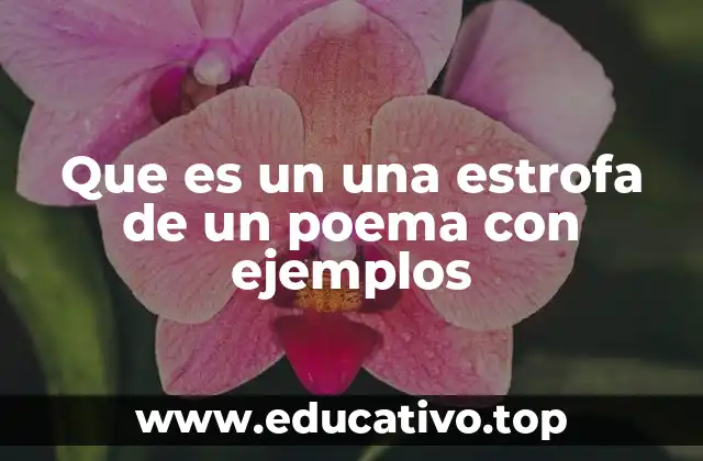 Que es un una estrofa de un poema con ejemplos