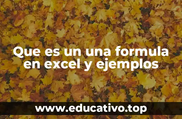 Que es un una formula en excel y ejemplos