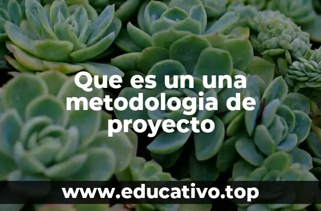 Que es un una metodologia de proyecto