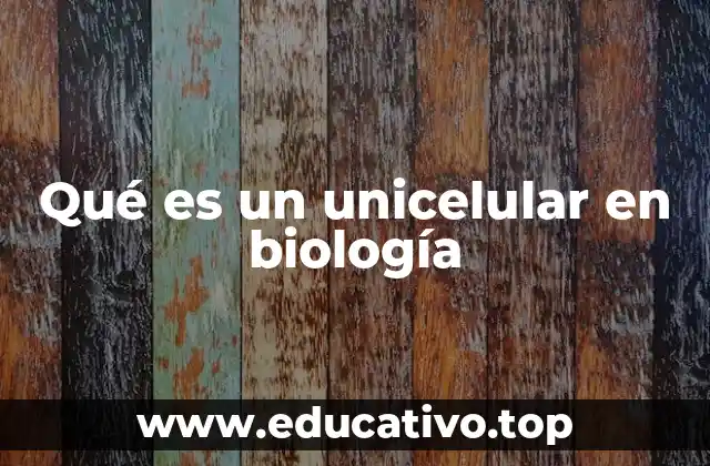 Qué es un unicelular en biología