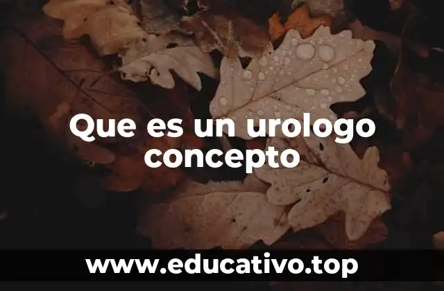 Que es un urologo concepto