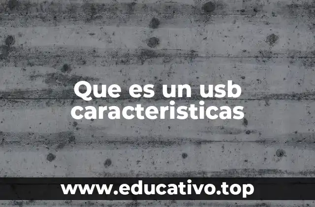 Que es un usb caracteristicas