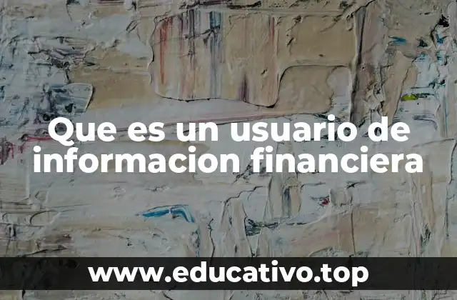 Que es un usuario de informacion financiera