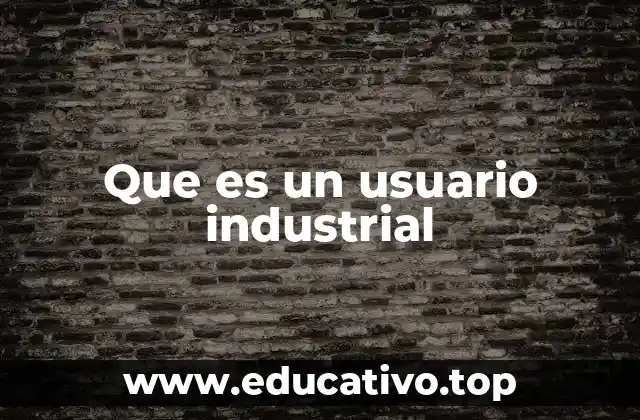 Que es un usuario industrial