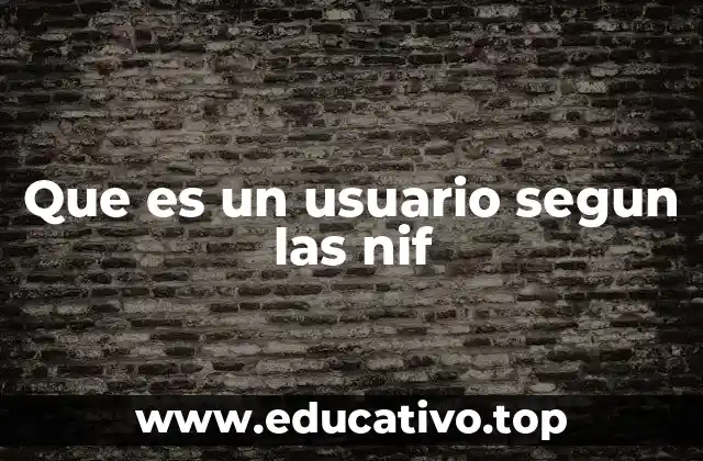 Que es un usuario segun las nif