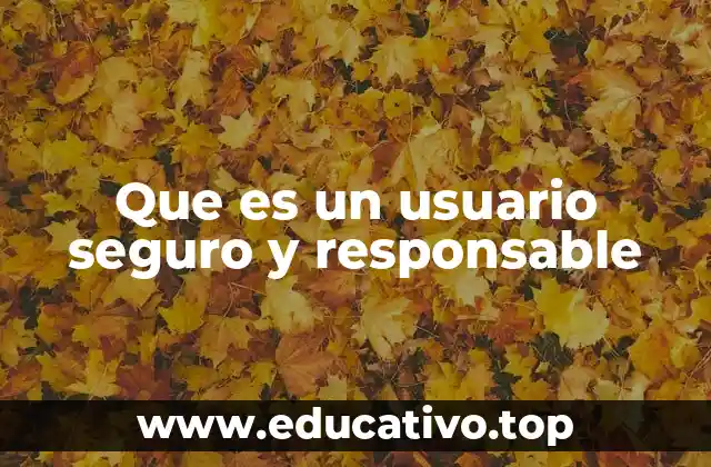 Que es un usuario seguro y responsable