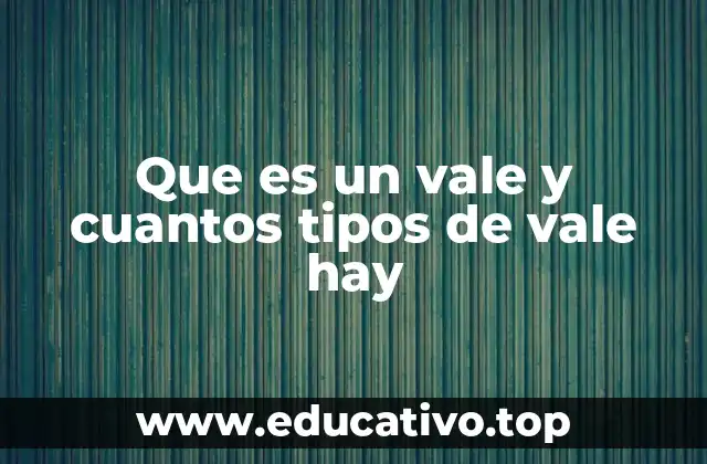 Que es un vale y cuantos tipos de vale hay