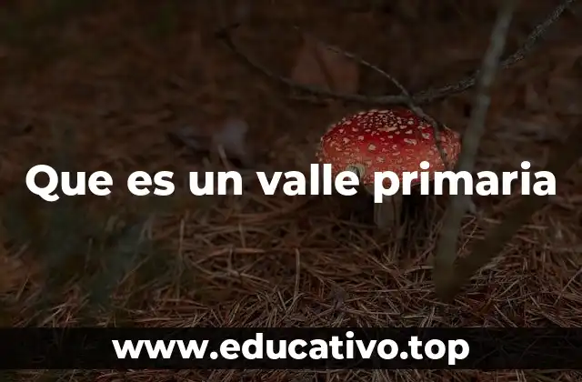 Que es un valle primaria
