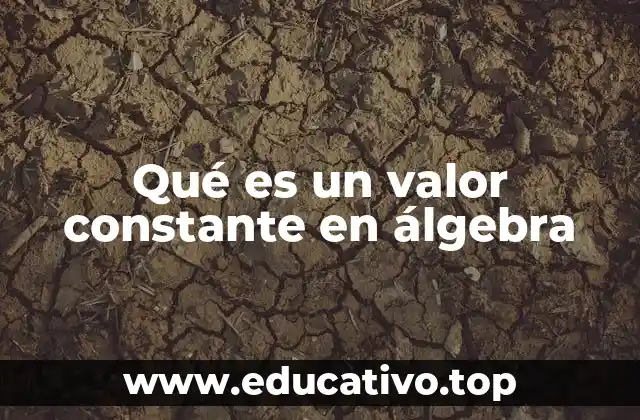 Qué es un valor constante en álgebra