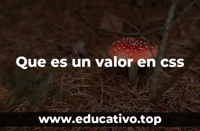 Que es un valor en css