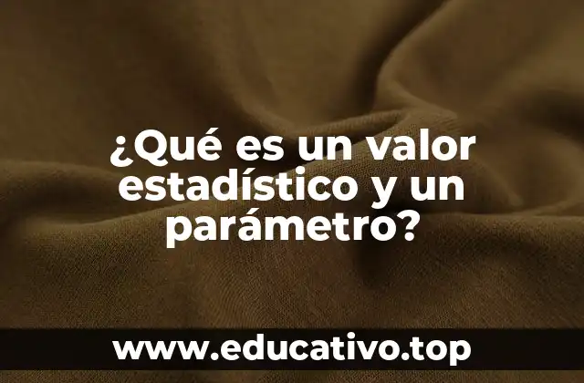 ¿Qué es un valor estadístico y un parámetro?