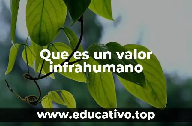 Que es un valor infrahumano