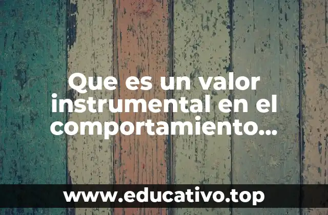 Que es un valor instrumental en el comportamiento organizacional