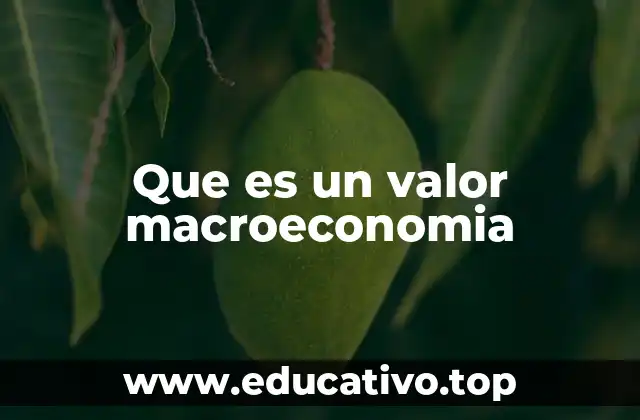 Que es un valor macroeconomia