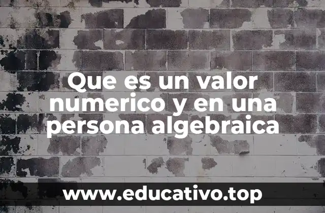 Que es un valor numerico y en una persona algebraica