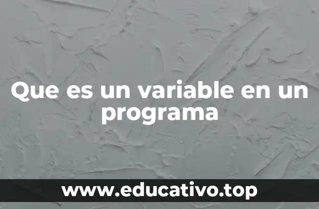 El rol de las variables en la estructura de un programa