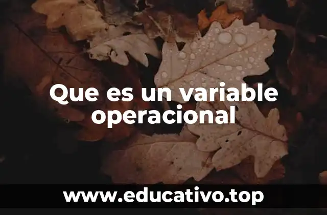 Que es un variable operacional