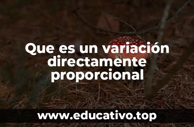 Que es un variación directamente proporcional