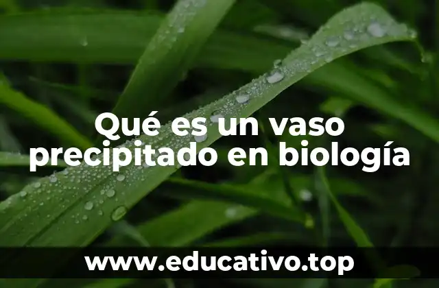 Qué es un vaso precipitado en biología