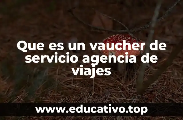 Que es un vaucher de servicio agencia de viajes