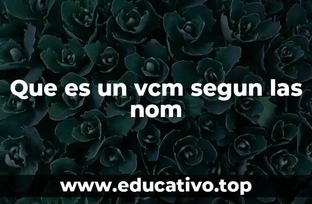 Que es un vcm segun las nom