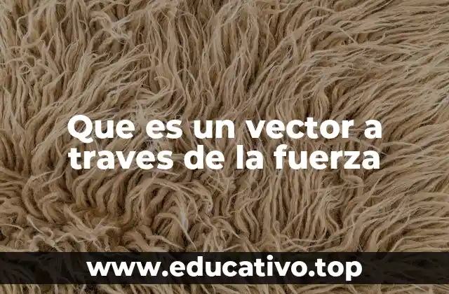 Que es un vector a traves de la fuerza