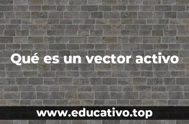 Qué es un vector activo