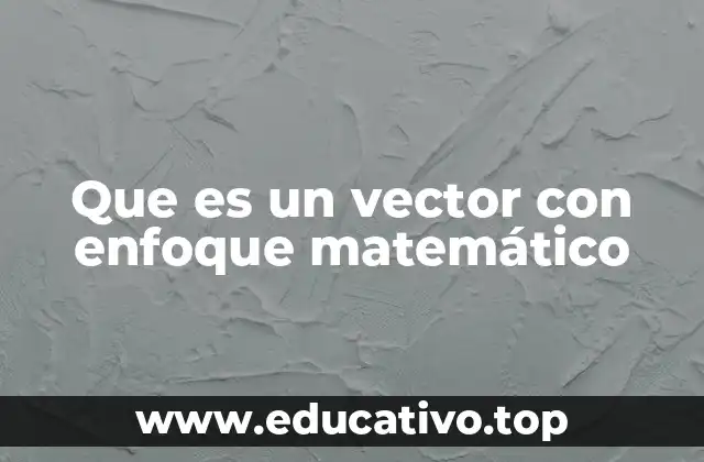 Que es un vector con enfoque matemático