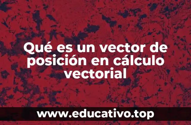 El vector de posición en sistemas de coordenadas