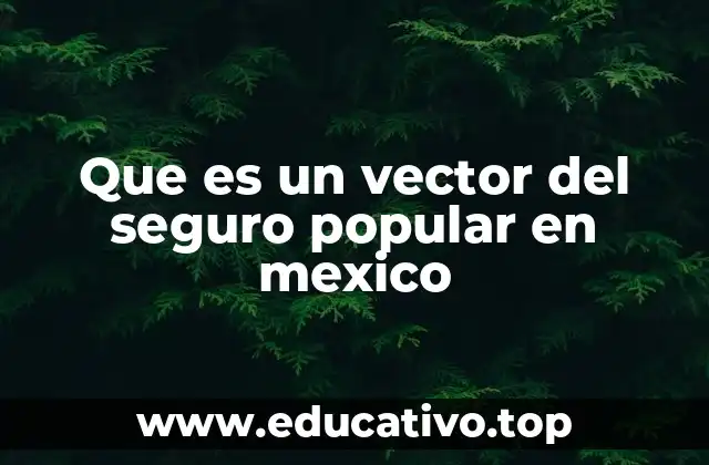 Que es un vector del seguro popular en mexico