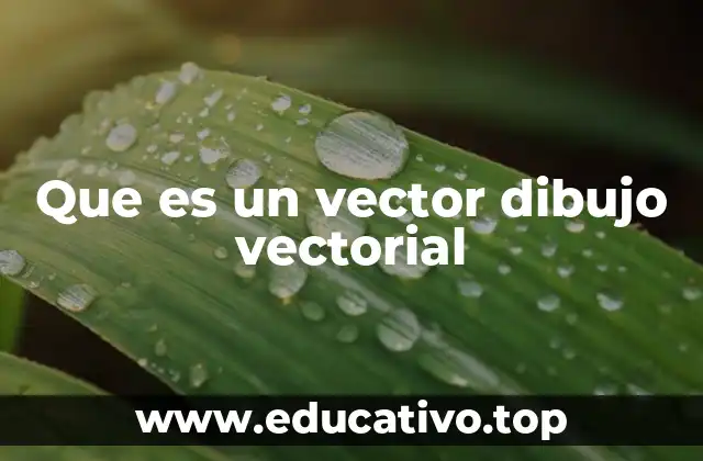Que es un vector dibujo vectorial