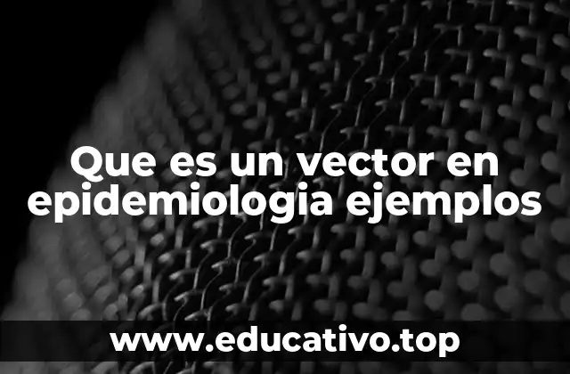 Que es un vector en epidemiologia ejemplos