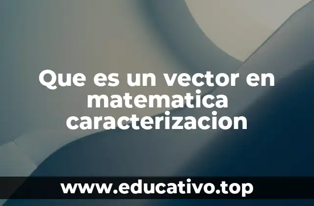 Que es un vector en matematica caracterizacion