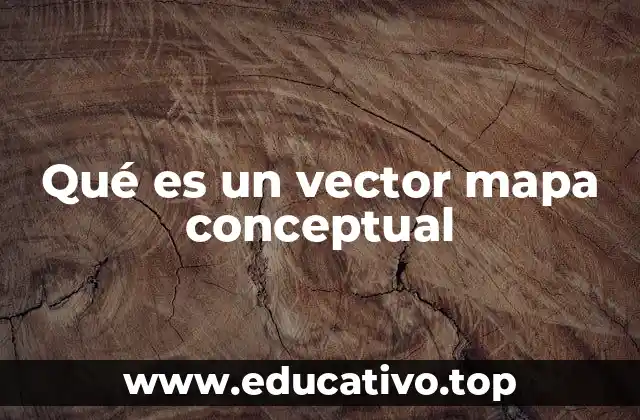 Qué es un vector mapa conceptual