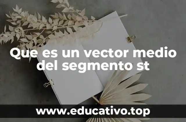 Que es un vector medio del segmento st