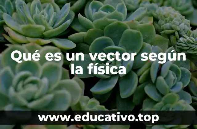 Qué es un vector según la física