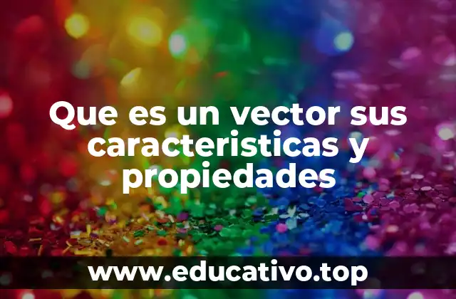 Que es un vector sus caracteristicas y propiedades