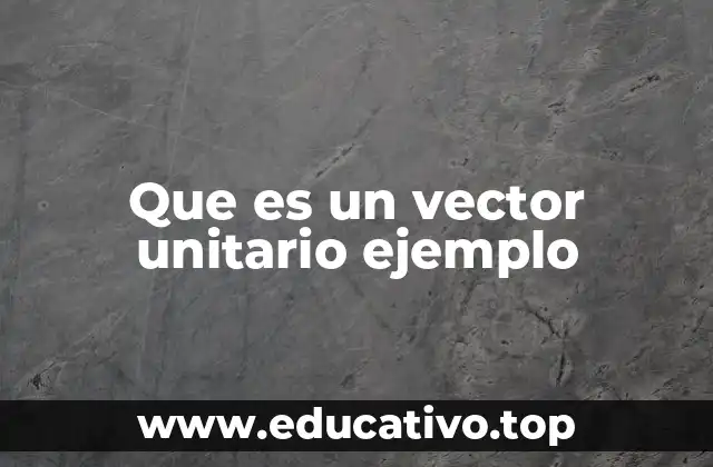 Que es un vector unitario ejemplo