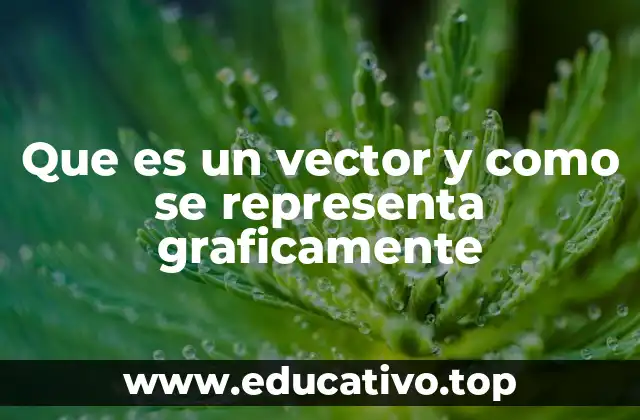 Que es un vector y como se representa graficamente